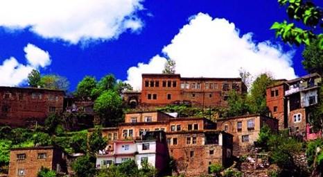Tarihi Bitlis Evleri bakımsızlıktan yıkılma tehlikesiyle karşı karşıya!