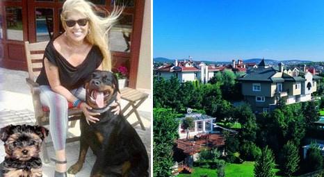 Zerrin Özer köpekleri için Bomonti’den Acarkent’te villaya taşındı!