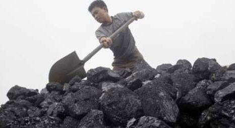 Linyit ve taş kömürü kullanımında konut ve hizmet sektörü ikinci sırada!