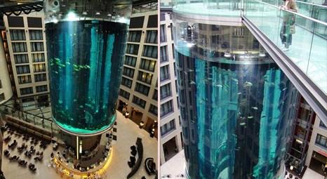 Berlin Radisson Blu Hotel'deki AquaDom’un içinden asansör geçiyor!