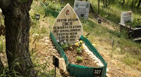 Bursa'daki Evcil Hayvan Mezarlığı'nda taşlardaki yazı dikkat çekiyor!