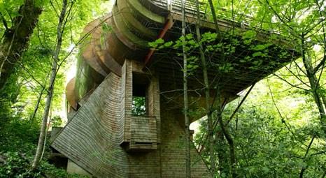 Robert Harvey Oshatz, ormanın içinde çocukluk hayali olan evi yaptı!