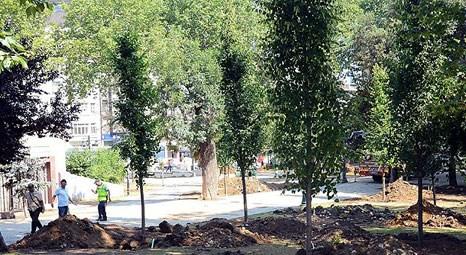 Gezi Parkı'na 100 yetişkin ağaç dikildi