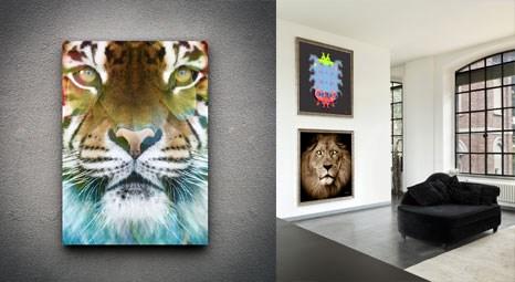 Zoo Design Studio, renk oyunlarıyla mekânların enerjisini arttırıyor!