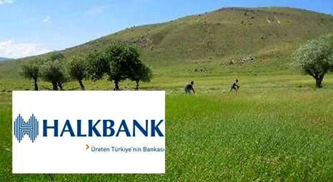Halkbank'a gösterilen 450 milyon dolarlık teminat, Hazine arazisi çıktı!