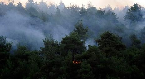 Antalya Kemer ve İzmir Aliağa’da ormanlık alanda yangın çıktı!