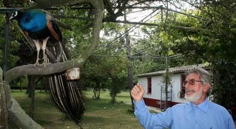 Bursa Uluabat Gölü Kuş Cenneti 3.5 milyon liraya satılık!