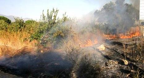 İzmir’de 8 hektarlık orman alanı kül oldu!