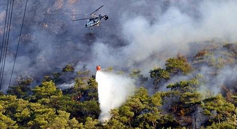 Türkiye’de son çıkan orman yangınlarıyla yüzlerce hektar alan kül oldu!