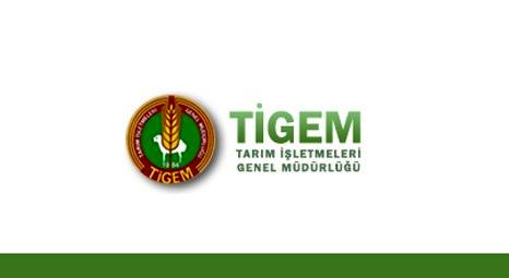 Tarım İşletmeleri Genel Müdürlüğü Adana’daki tesisini kiraya veriyor!