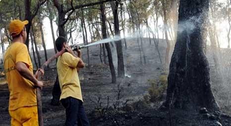 Antalya'da 15 hektarlık orman zarar gördü!