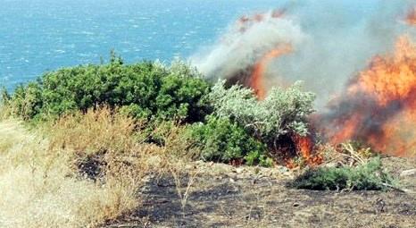 Bodrum’daki yangında 20 hektar alan zarar gördü!