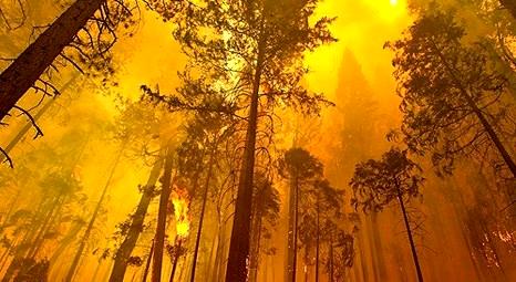 ABD’deki Yosemite Milli Parkı yanıyor!