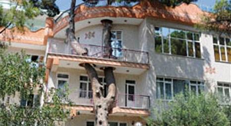 Manisa'da 325 yaşındaki çam ağacı 4 katlı binanın balkonlarından geçiyor!