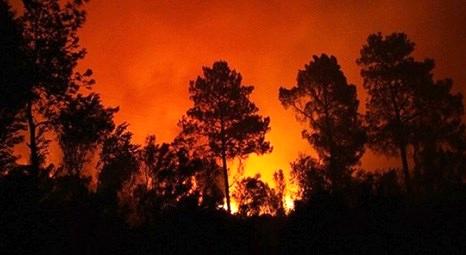 Muğla’nın Seydikemer ilçesinde çıkan yangında 2 hektar alan zarar gördü!