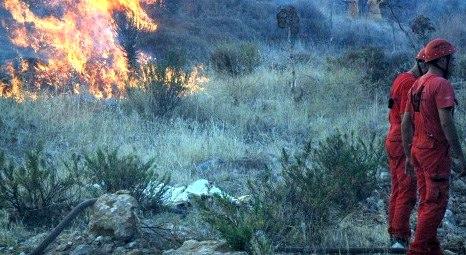 Bodrum Konacık’taki ormanlık alanda yangın çıktı!
