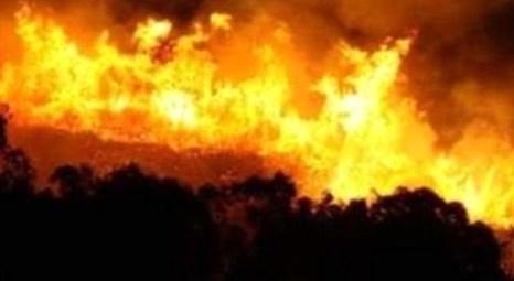 Bursa Uludağ'da orman yangını meydana geldi