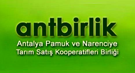 Antbirlik Antalya Finike'deki 65 konutunu satıyor