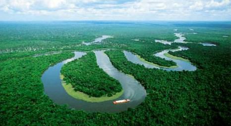 Amazon ormanlarının bir yılda 5 bin 843 kilometrekarelik alanı tahrip edildi