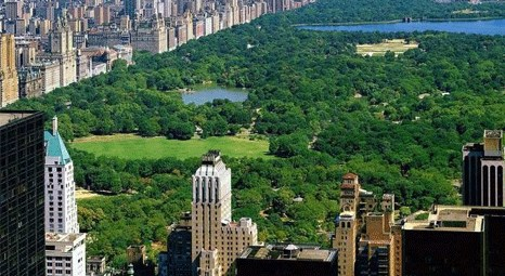 New York Central Park'a gölge düşüyor