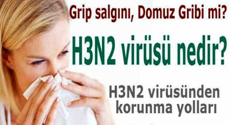 H3N2 Virüsü nedir