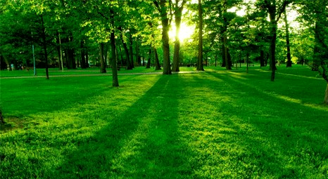 Yeşil park alanlar akıl sağlığına kalıcı etki sağlıyor 