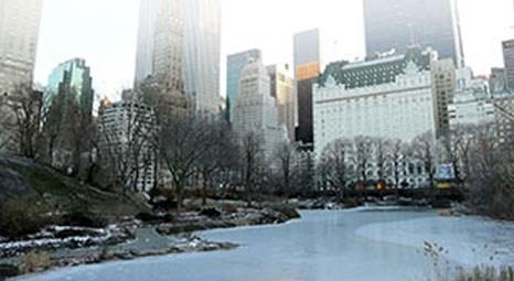 New York Central Park'ın gölleri dondu