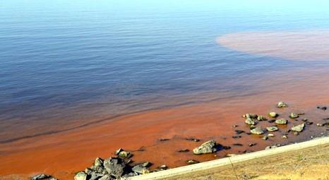Zonguldak'ın Alaplı ve Düzce sahillerindeki kızıl tabaka Ereğli’de de görüldü