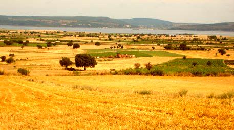Şırnak'da çözüm süreciyle birlikte 150 bin dekar arazi tarıma kavuştu
