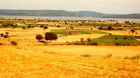 Aydın'da 820 bin dekar tarım arazisi suya kavuşacak