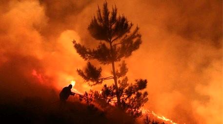 Rize'de çıkan yangında 70 hektar alan zarar gördü