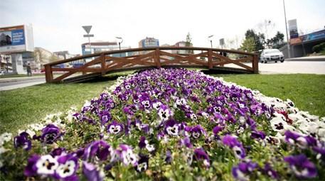 Esenler Belediyesi Esenler’e 800 bin çiçek dikti 