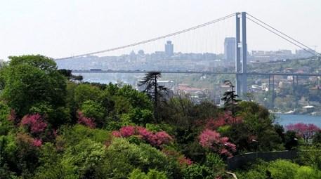 İstanbul Boğazı erguvanlar ile pembeye boyandı  