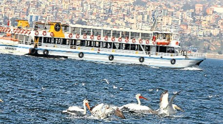 İzmir'de Körfez filosu genişleyecek