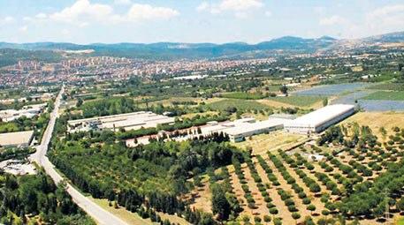 Albayraklar Holding, Bursa Orhangazi’de kağıt fabrikası kuruyor