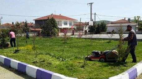 Çatalca Belediyesi mahallelerde çim biçme çalışmalarını başlattı