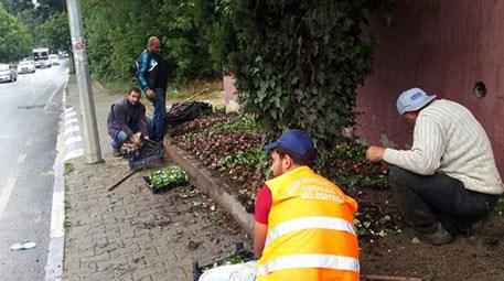 Çatalca Belediyesi, ilçe merkezini çiçeklerle bezedi