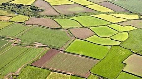 Mehdi Eker '4.5 milyon dönüm tarım arazisi kurtarıldı'