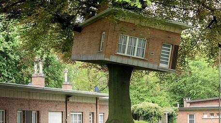  İlginç ağaç evler görenleri şaşkına çeviriyor!