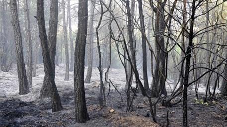 Bilecik'teki orman yangınında 1 hektarlık zarar…