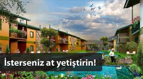 İstanbul'da köy hayatı olamaz mı? Olabilir!
