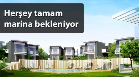 Çeşme - Şifne'de hareketlilik başladı