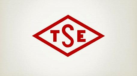 TSE 100 milyon lira ile yurt dışına açılıyor 