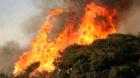 Mersin Gülnar’daki orman cayır cayır yanıyor