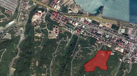Doğa ve deniz manzaralı fındık bahçesi alıcısını arıyor