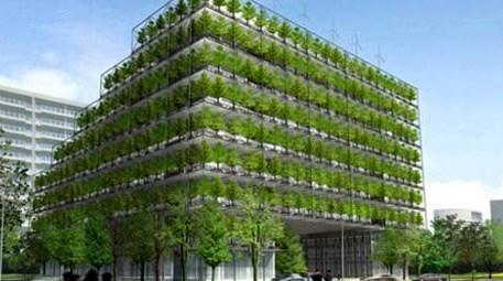 Sertifikalı yeşil bina sayısı artıyor! En son…