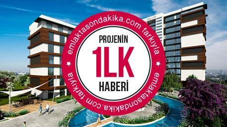 Anka Kuşu, Ankara'nın Dikmeni'ne kondu