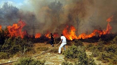 Muğla'da orman ve zirai alan yangını ile… 