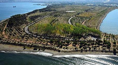 İzmir İnciraltı'ndaki moloz döküm alanı dönüştü, kent ormanı oldu