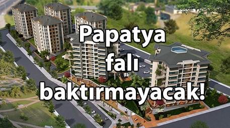 Papatya Park Residence nerede?